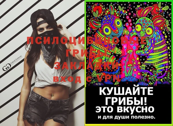 стаф Волоколамск