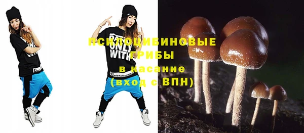 ПСИЛОЦИБИНОВЫЕ ГРИБЫ Волосово