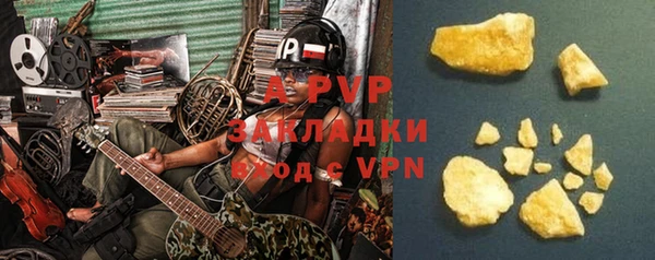 стаф Волоколамск