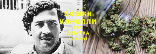 ПСИЛОЦИБИНОВЫЕ ГРИБЫ Волосово