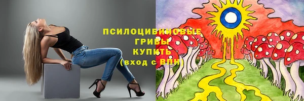 apvp Верхний Тагил